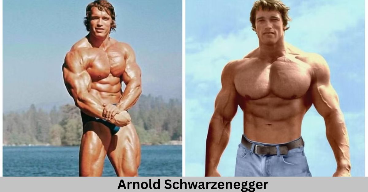 Arnold Schwarzenegger Career